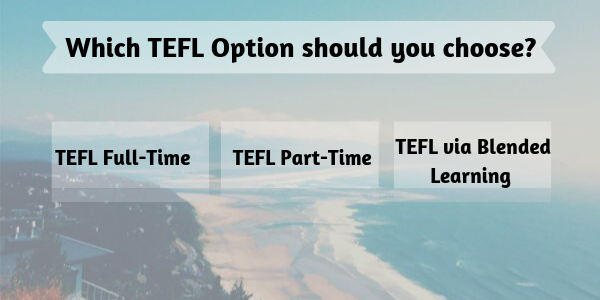 TEFL Options
